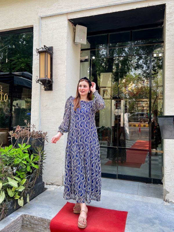 Serene Saphhire Net Dress - Image 8