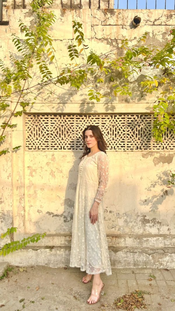 OffWhite-Embroidered Net Floral Dress - Image 4