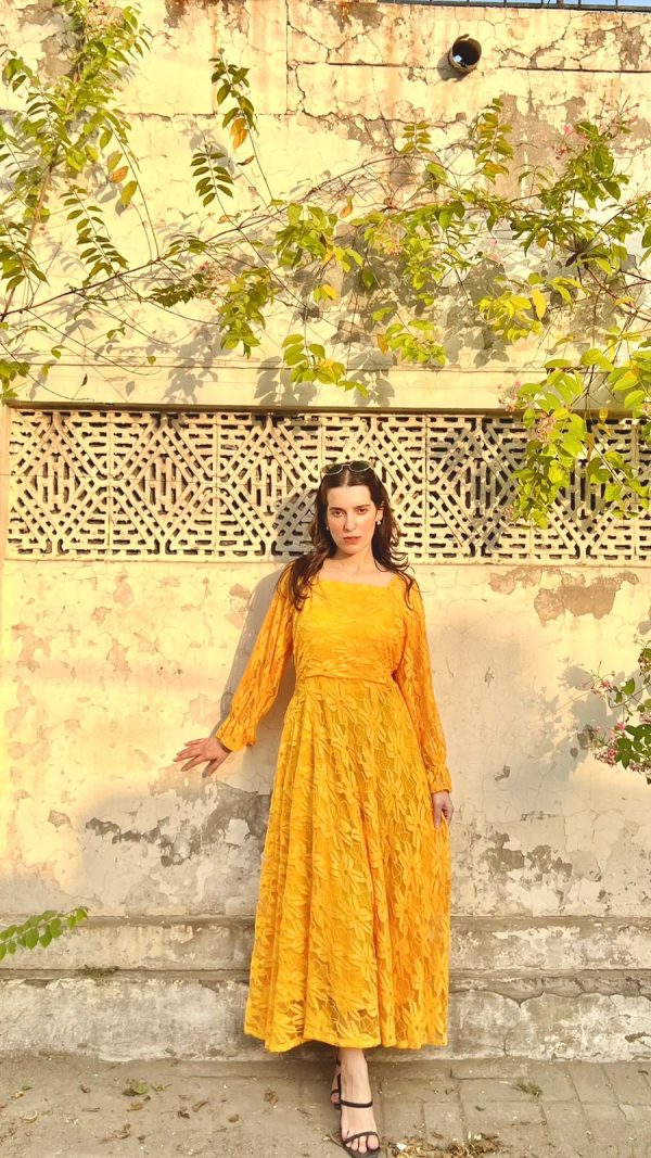 Yellow Mustard-Net Dress - Image 5