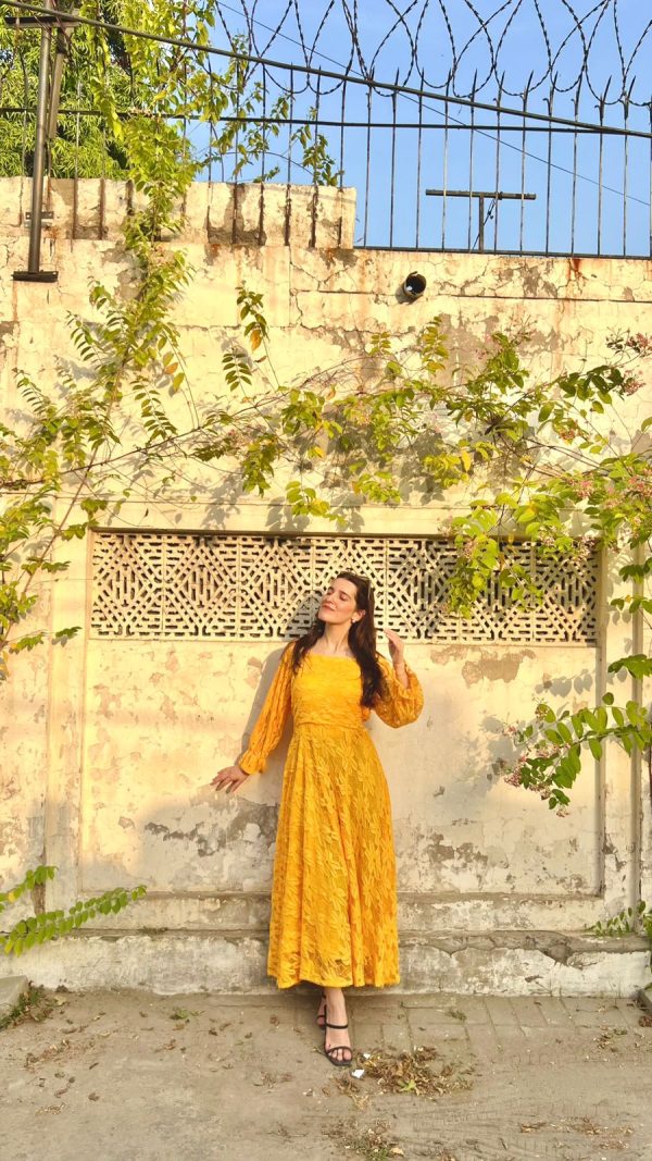 Yellow Mustard-Net Dress - Image 4