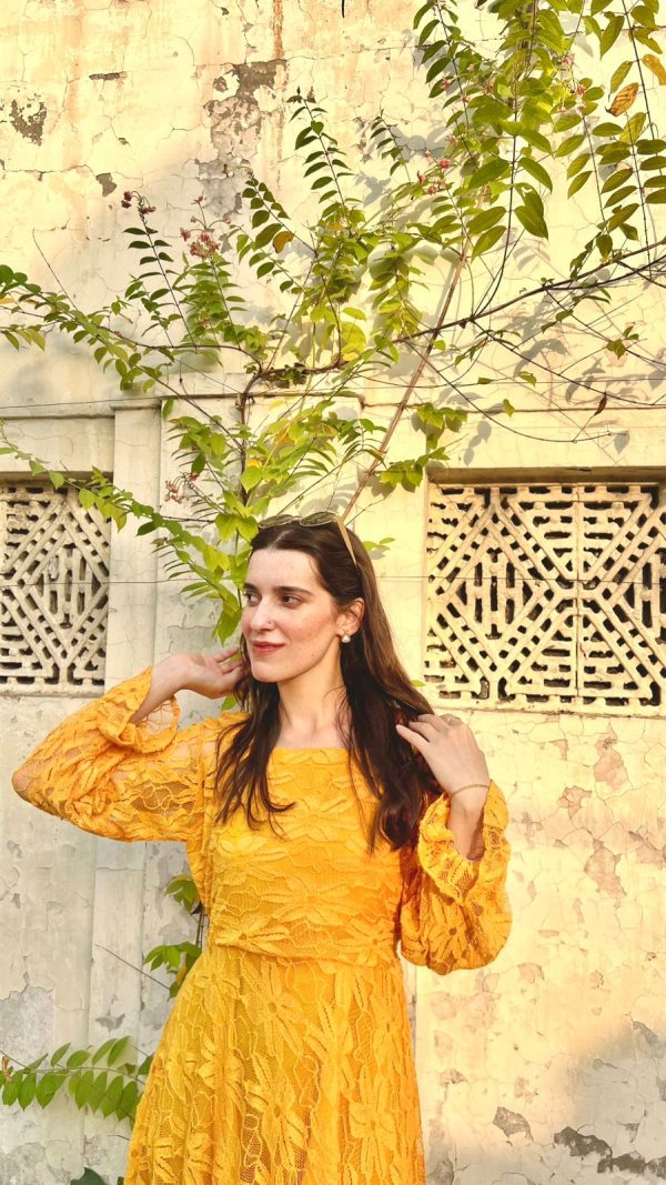 Yellow Mustard-Net Dress - Image 3
