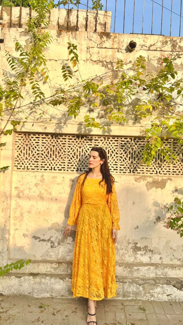 Yellow Mustard-Net Dress - Image 6