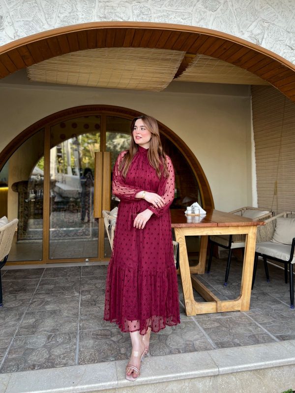 Net-Burgundy High Neck Dress - Image 10