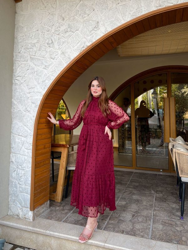 Net-Burgundy High Neck Dress